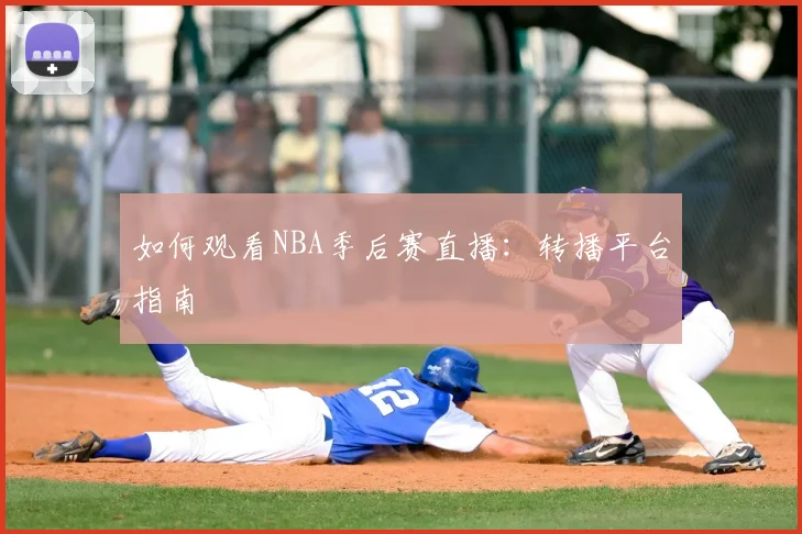 如何观看NBA季后赛直播：转播平台指南